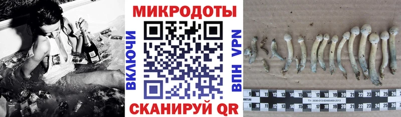 Псилоцибиновые грибы прущие грибы  Велиж 